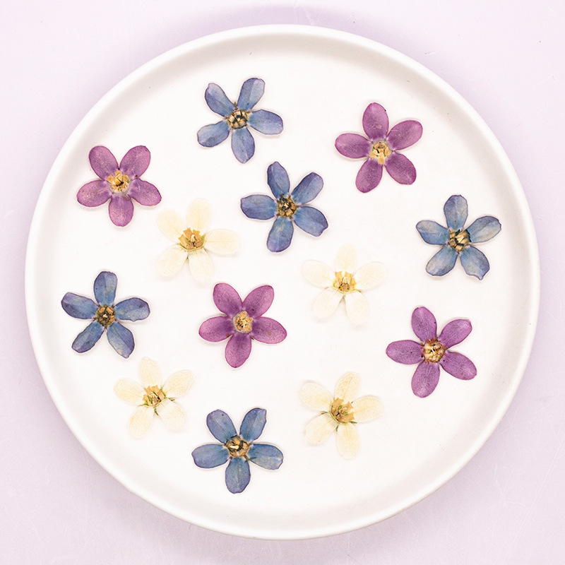 12pçs, flor estrela azul prens - Baby Products Decoration avaliação e preço